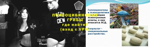гидра Алексин