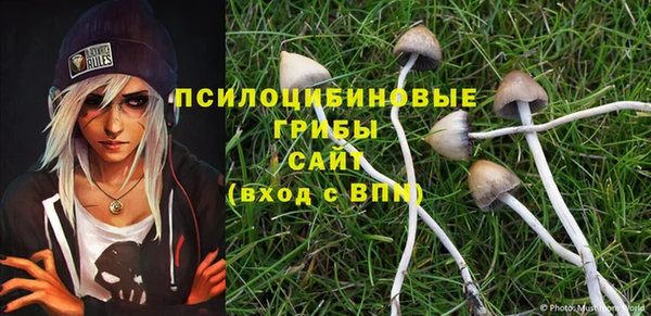 шишки Алексеевка