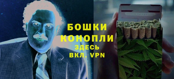 гидра Алексин